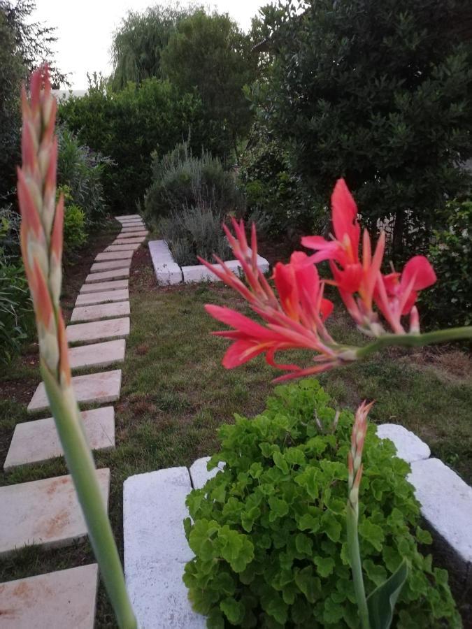 Il Rifugio In Valle D'Itria Locorotondo Εξωτερικό φωτογραφία